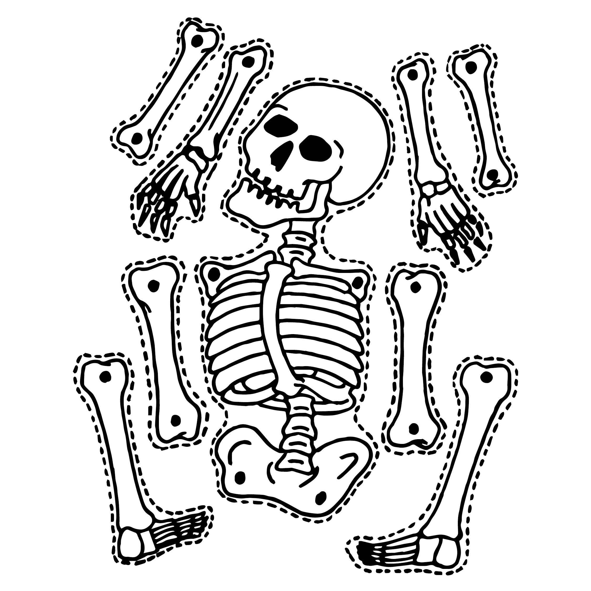 Напечатанные кости. Раскраска скелет. Скелет рисунок. Раскраски на Хэллоуин скелет. Скелет человека раскраска.