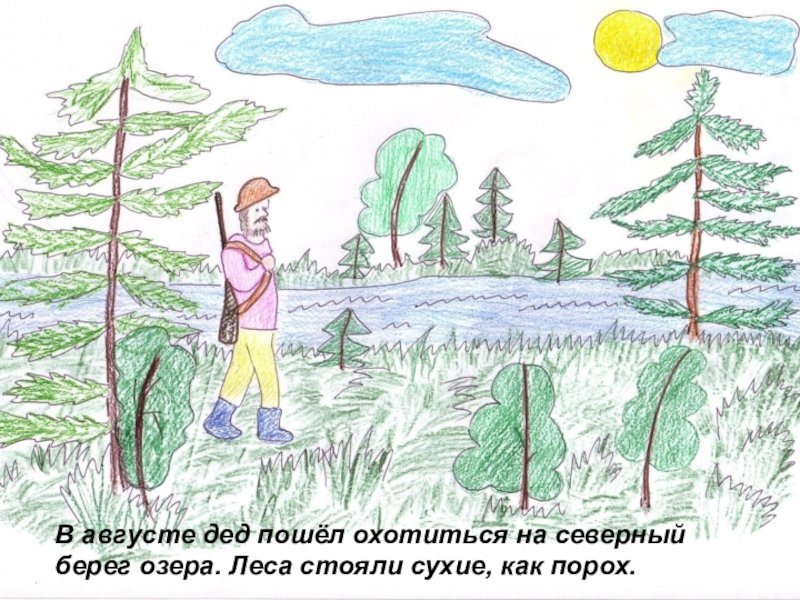 Васютка нашел озеро в лесу. Иллюстрация к рассказу заячьи лапы. Рисунок к произведению заячьи лапы. Иллюстрация к произведению Паустовского заячьи лапы. Рисунок к рассказу заячьи лапы.