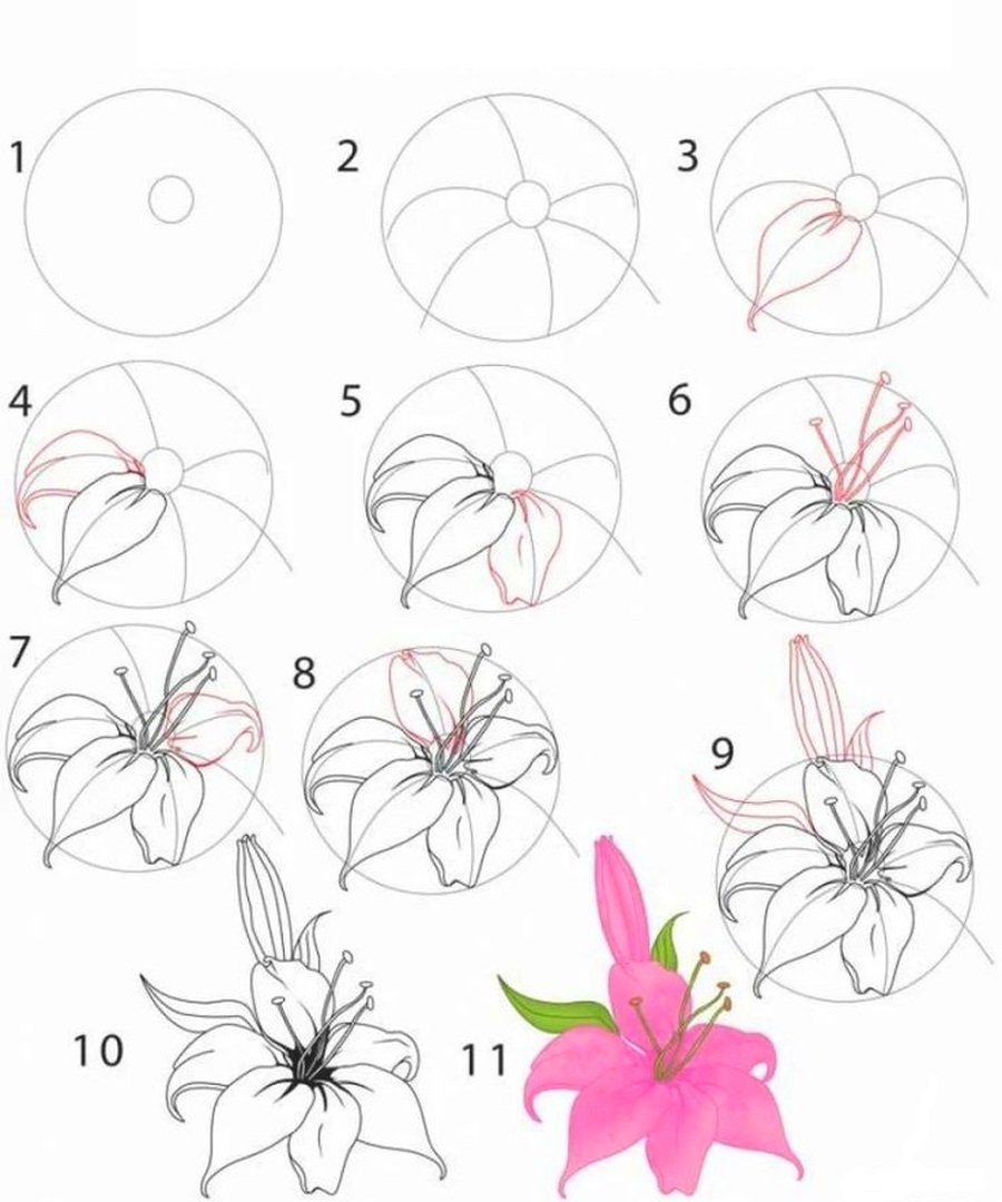 Букет поэтапное рисование. Схемы рисования цветов. Рисование для начинающих цветы. Поэтапное рисование цветка. Простые цветы для рисования.
