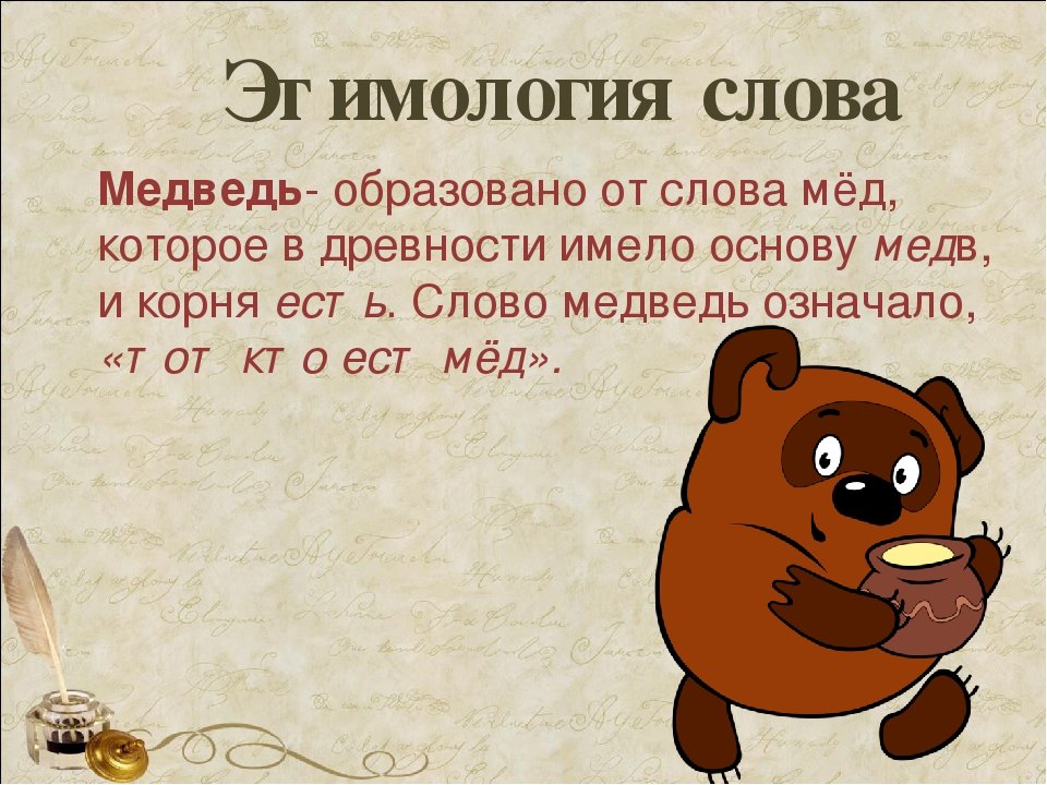Любое слово в поиске. Этимология слова медведь. Этимология слова. Просхождениеслова медведь. Медведь происхождение слова этимология.