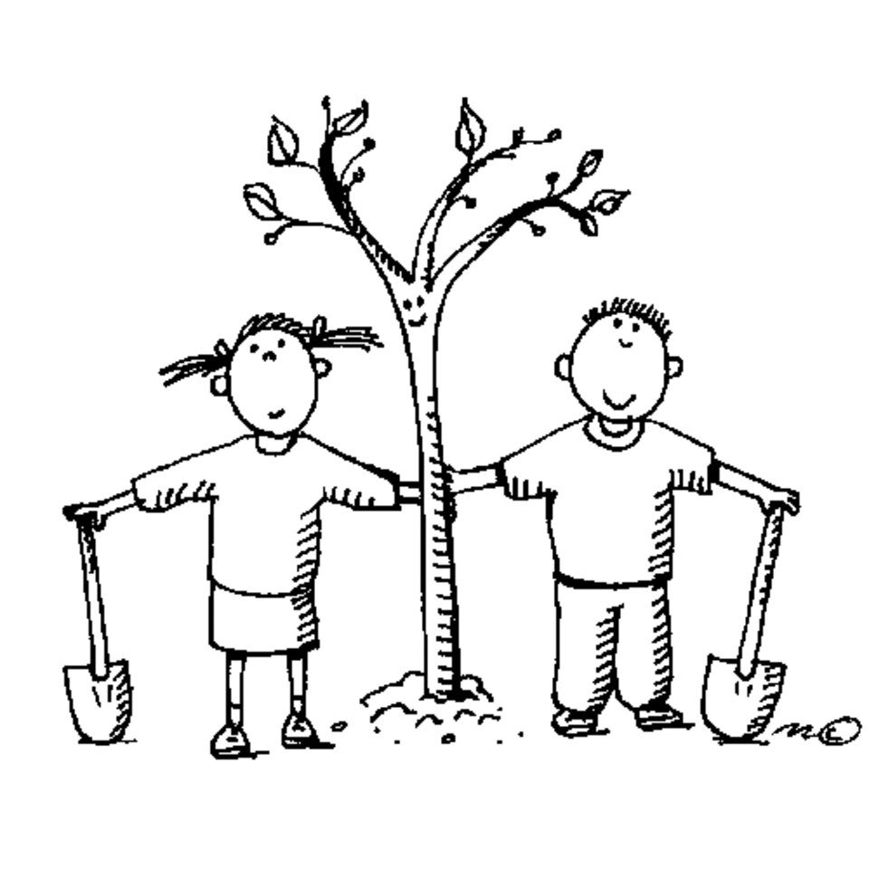 Посадка деревьев картинки для детей