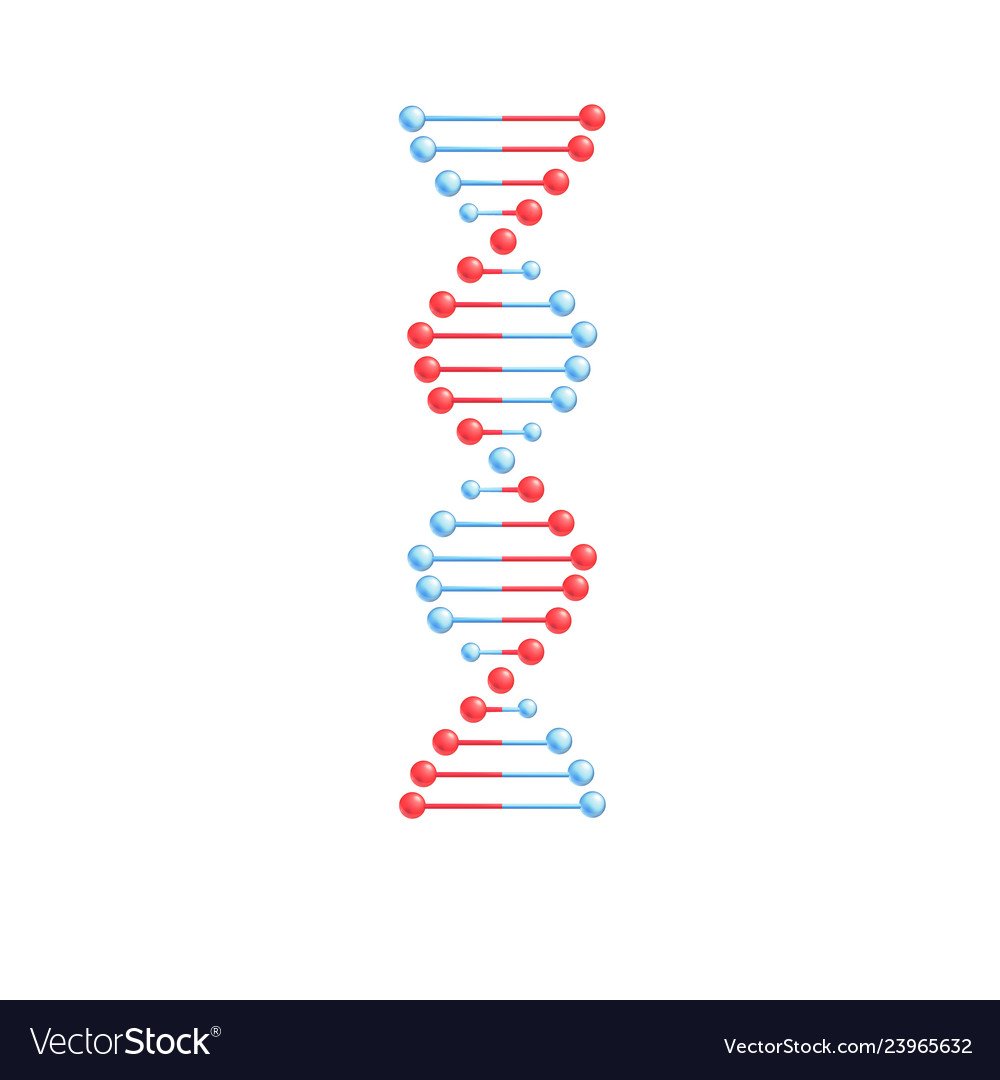 Спираль ДНК. ДНК вектор. Молекула ДНК вектор. Хромосомная спираль. Достройте молекулу днк