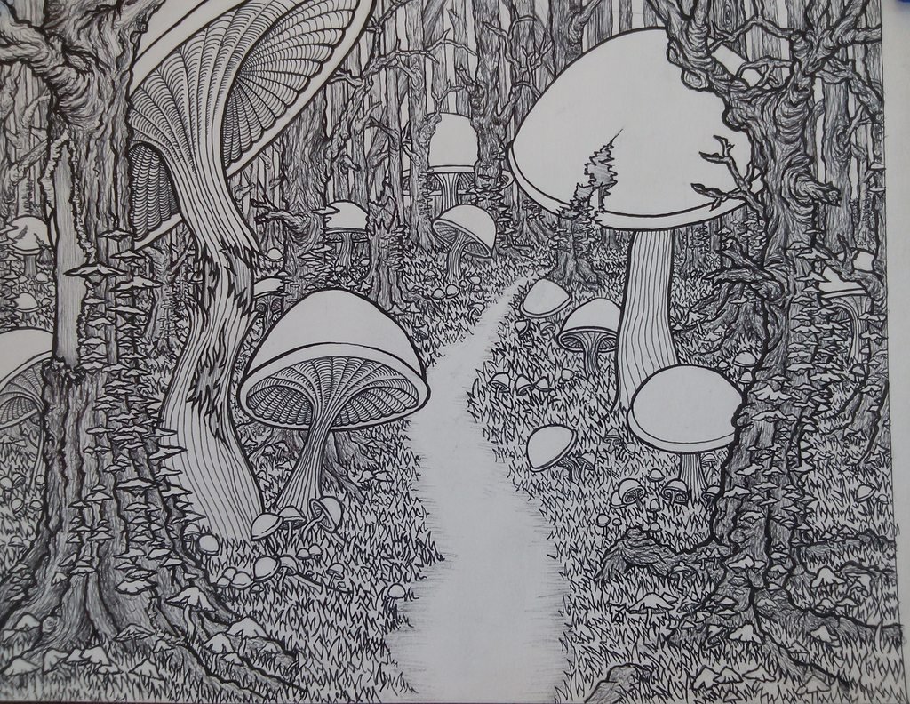 Заколдованный рисунок. Зачарованный лес (чудесный лес) (1986). Лес иллюстрация. Иллюстрации Графика. Сказочный лес Графика.