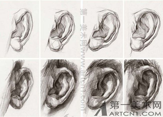 Уха поэтапно. Ухо с разных ракурсов. Конструктивное построение уха. Ухо человека с разных ракурсов. Зарисовки уха в разных ракурсах.