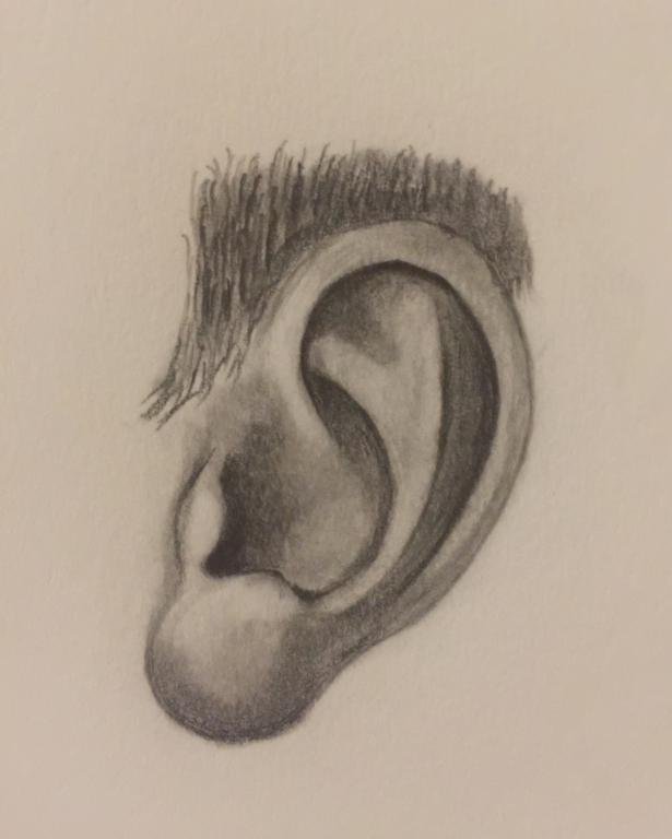 Уха поэтапно. Ухо нарисовать. Ухо карандашом. Рисунок уха человека. Поэтапное рисование уха.