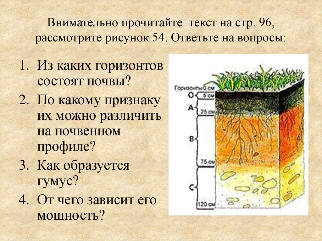 Какую толщину может достигать почва. Строение почвы схема. Почвенный профиль рисунок. Слои почвы названия. Схема строения почвенного профиля.