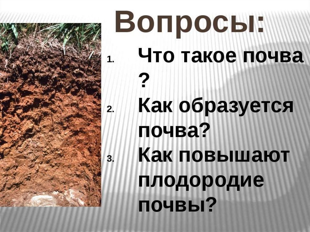Плодородие это свойство почвы которое. Проект почва. Почва презентация. Что такое почва 3 класс. Презентация на тему почва.
