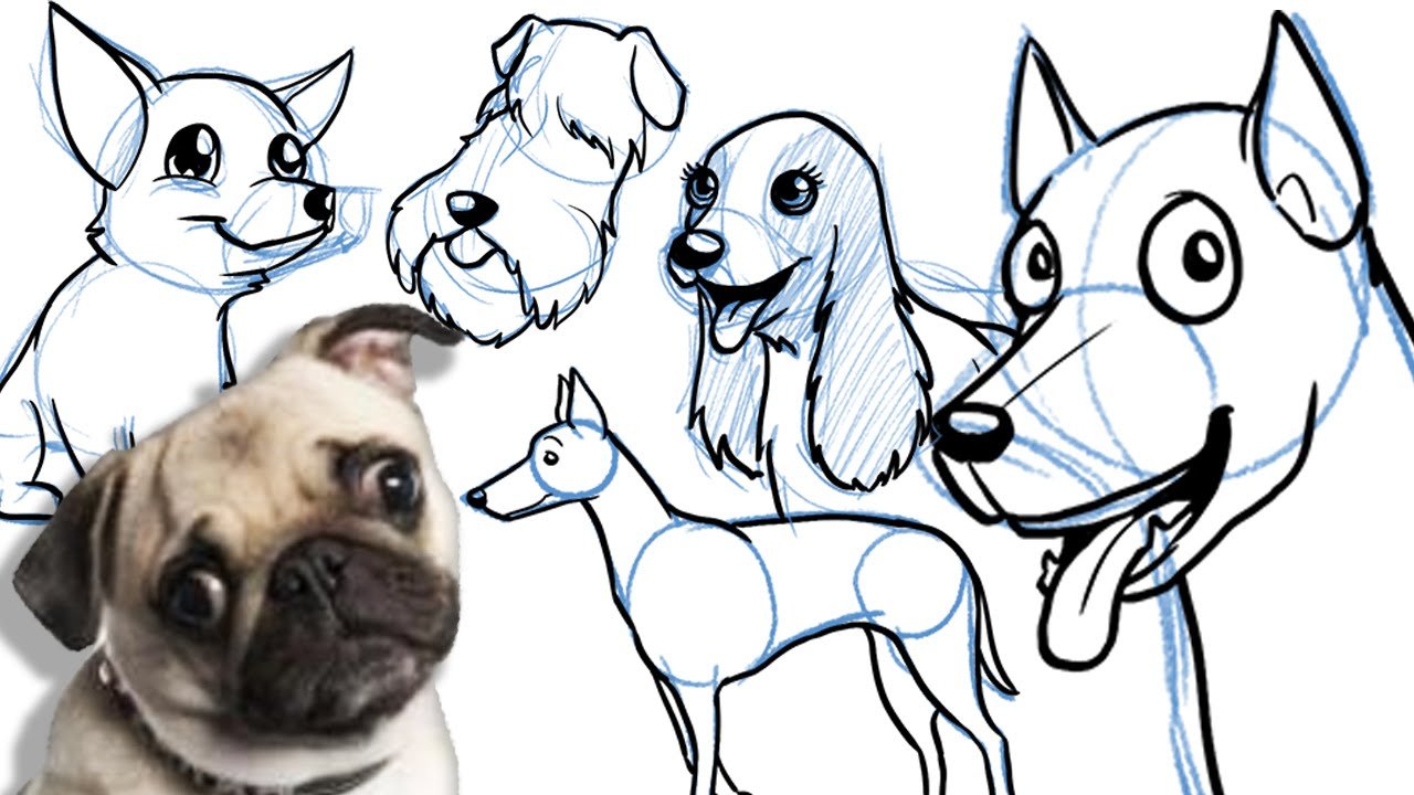 Как рисовать дог дея. Собака рисунок. Нарисовать собаку. Собака для рисования. Мультяшные собаки.