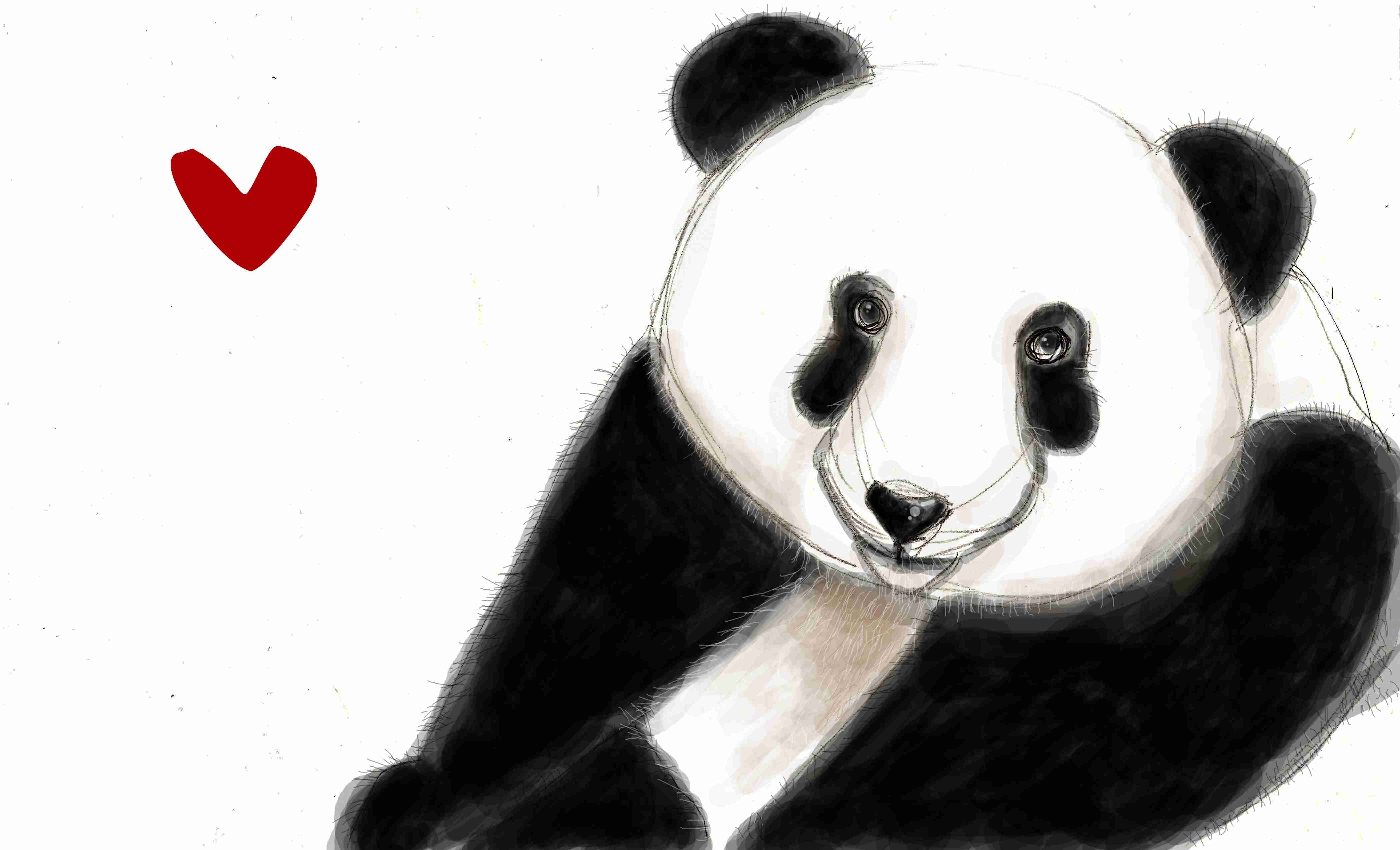 Включи энди панда. Панда рисунок для срисовки. Панда рисунок карандашом для срисовки. Рисунки для срисовки пандочки. Энди Панда рисунок.