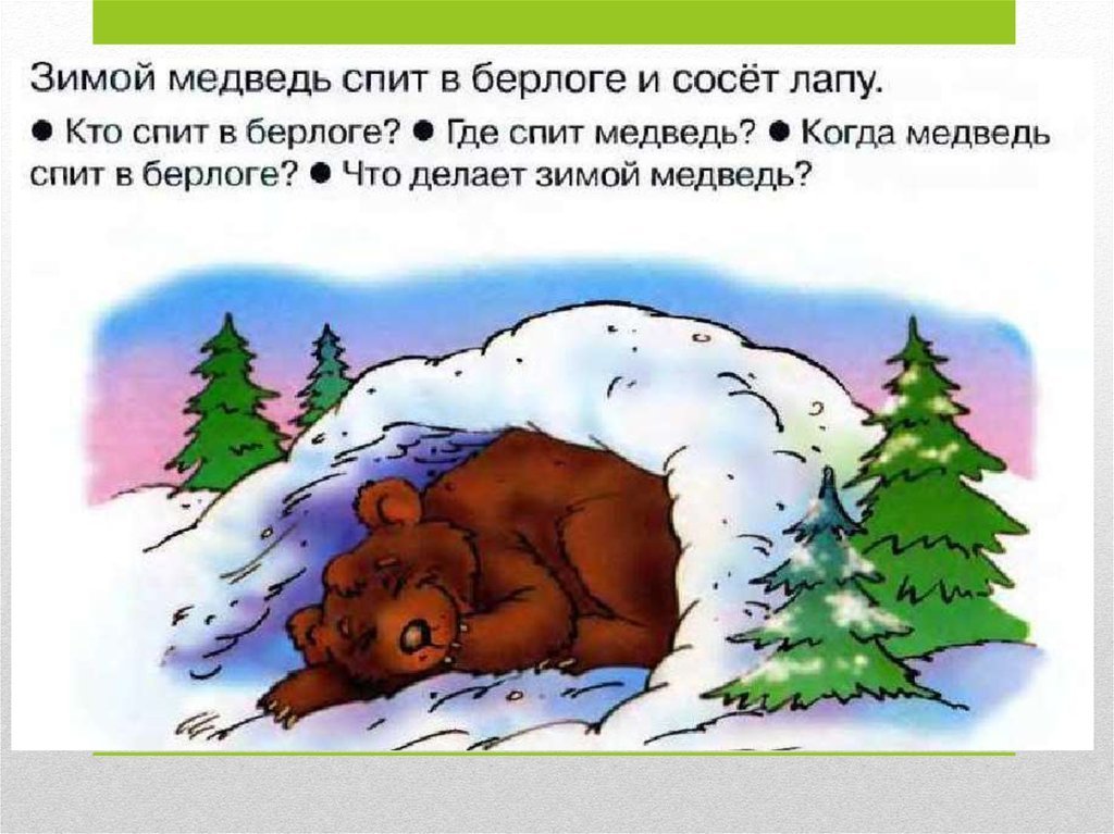 Сугроб составить предложение. Берлога медведя. Медведь зимой в берлоге. Медведь в берлоге рисунок. Мишка в берлоге рисунок.