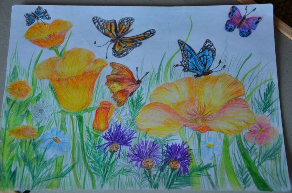 Цветы лета рассказ. Летний рисунок для детей. Детские рисунки цветы. Цветы цветными карандашами для детей. Рисунок на тему лето.