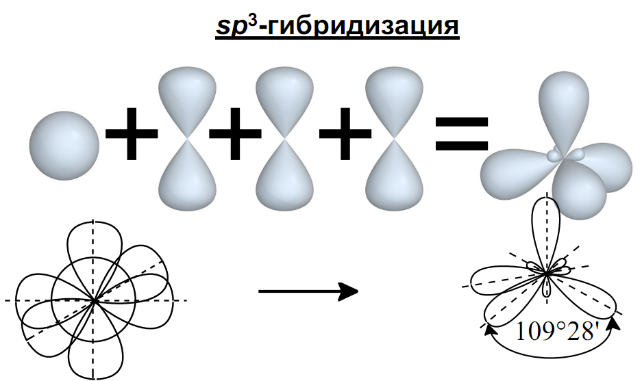 SP sp2 sp3 гибридизация. Sp3 гибридизация схема. Sp3 гибридизация аммиака. Гибридизация орбиталей (SP-, sp2 -, sp3 -).
