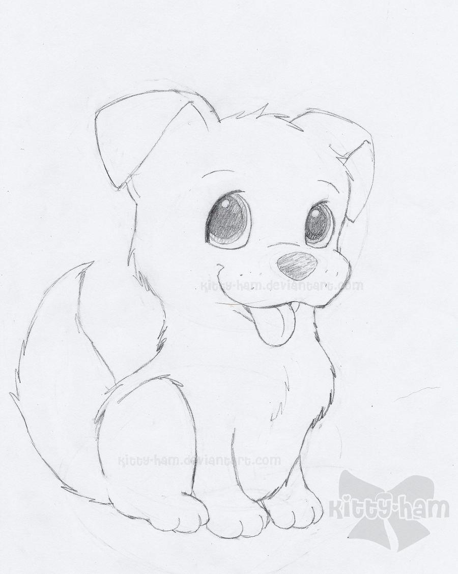 Нарисовать собаку карандашом легко и красиво. Лёгкие рисунки. Милые рисунки лёгкие. Красивые рисунки карандашом для срисовки. Рисунки очень легкие и красивые.