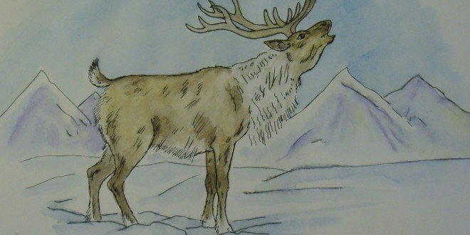 Как я представляю тундру рисунок. Тундра рисунок. Рисование Северный олень. Представляю себе тундру. Рисование тундра.