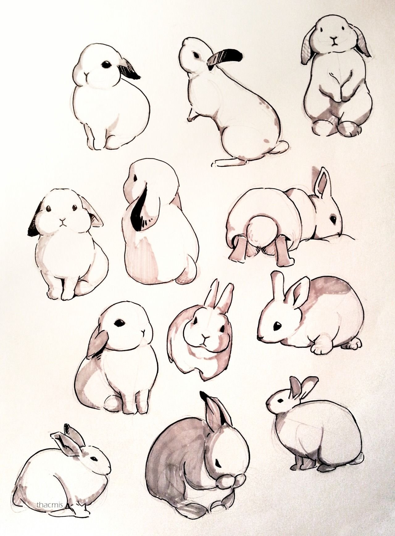 кролик картинки для срисовки легкие