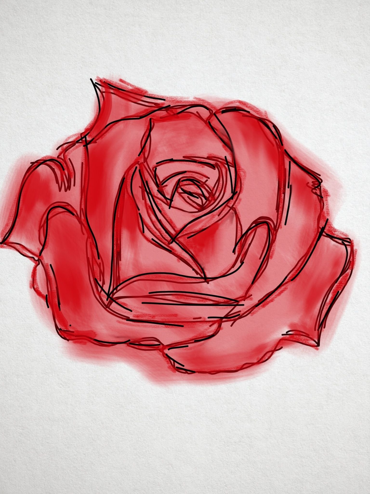 На белом листе бумаги нарисован красный цветок. Нарисовать розу. Красный рисунок.