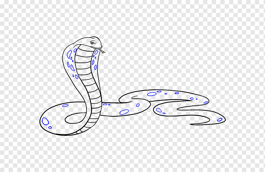 Легкая змейка. Змея рисунок. Змея карандашом. Рисунки для срисовки змея. Нарисовать змею.