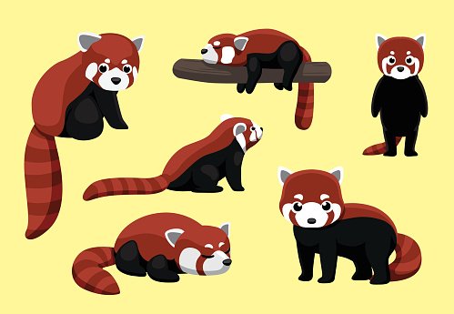 Идеи для срисовки красная панда легкие (89 фото)