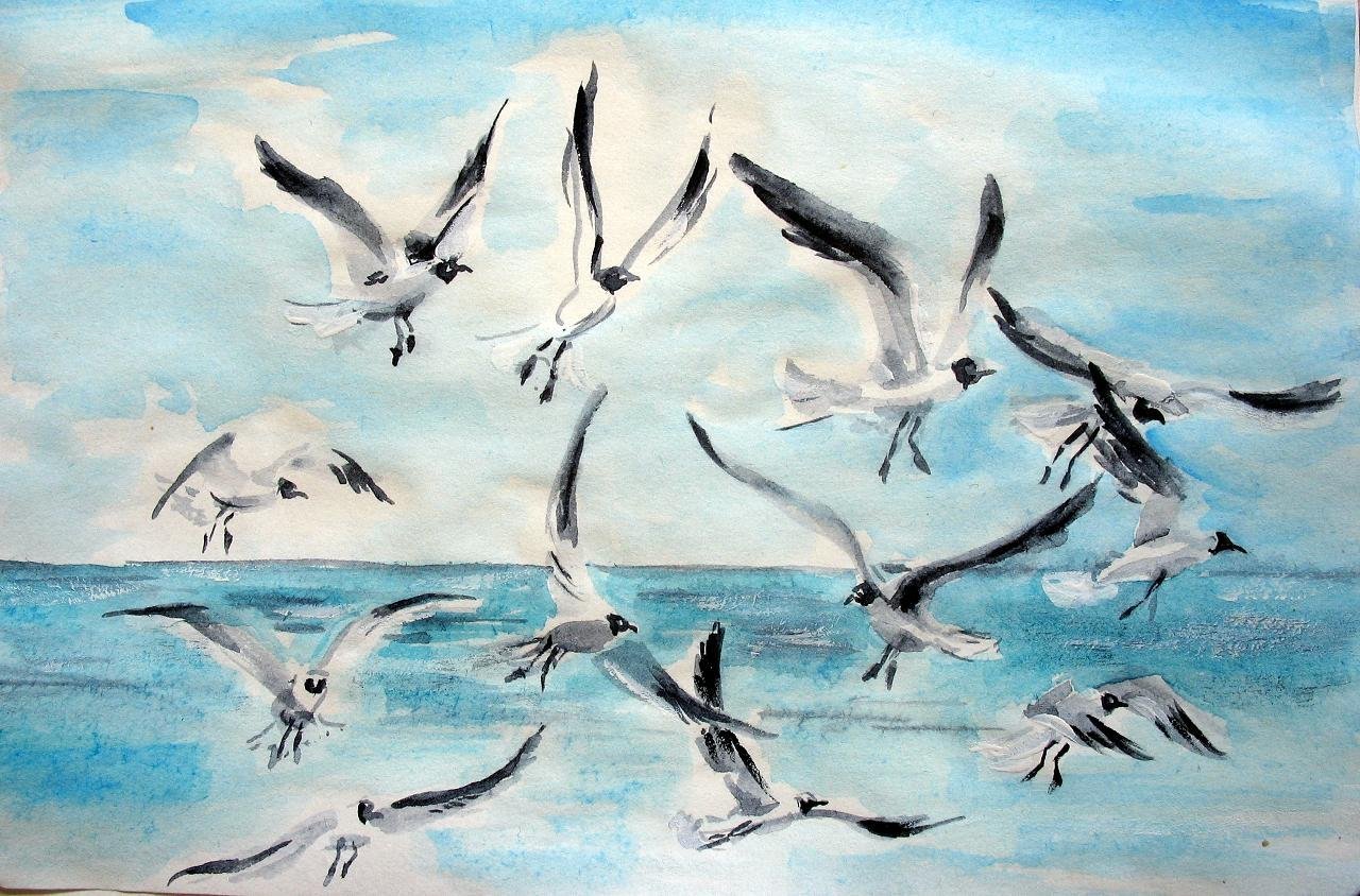 Рисунок чайки над морем