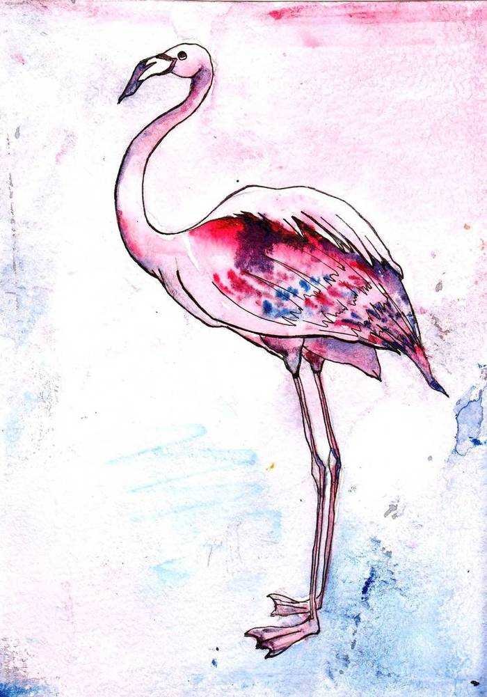 Фламинго легко. Фламинго для срисовки. Фламинго карандашом. Милые Фламинго для срисовки. Фламинго красивый карандашом.