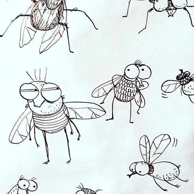Муха карандашом. Рисование насекомые. Зарисовки насекомых карандашом. Пошаговое рисование насекомых. Муха рисунок.