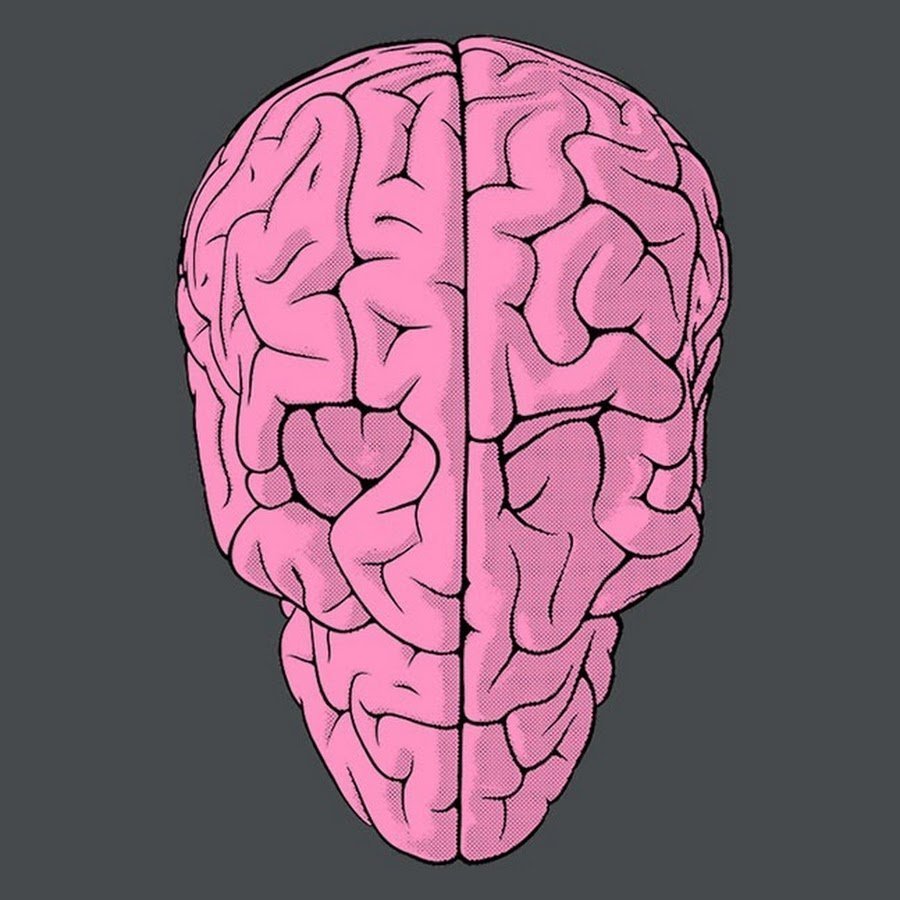 Мозги над головами. Мозг рисунок. Мозг нарисованный. Красивый мозг.