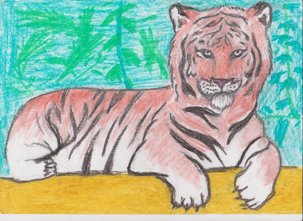 Животное рисунок 7 класс. Рисунок животного. Рисунок тигра для срисовки. Амурский тигр карандашом. Детский рисунок тигра.