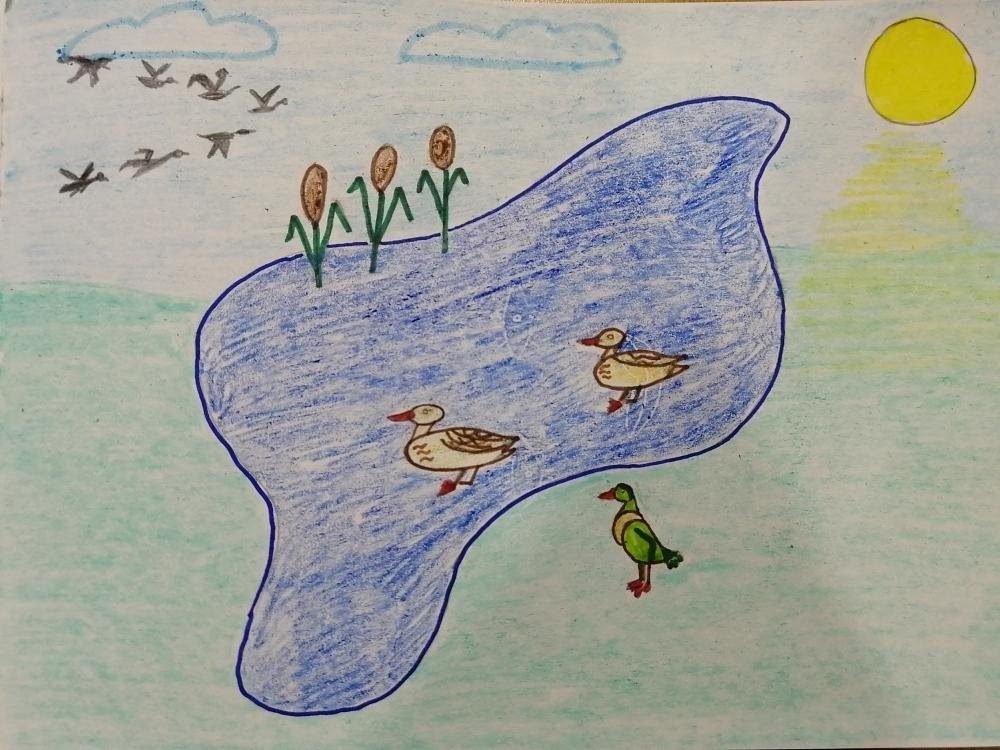 Васюткино озеро иллюстрация карандашом. Васюткино озеро рисунок. Иллюстрация к произведению Васюткино озеро. Иллюстрация к рассказу Васюткино озеро.