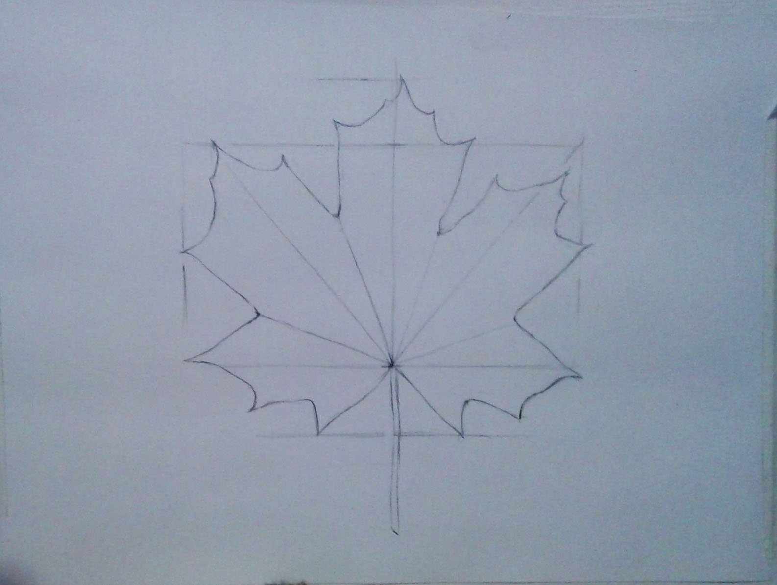 В клетках листья клена днем происходит. Кленовый лист поэтапное рисование. Симметричный лист клена. Симметричные рисунки. Симметричные рисунки карандашом.
