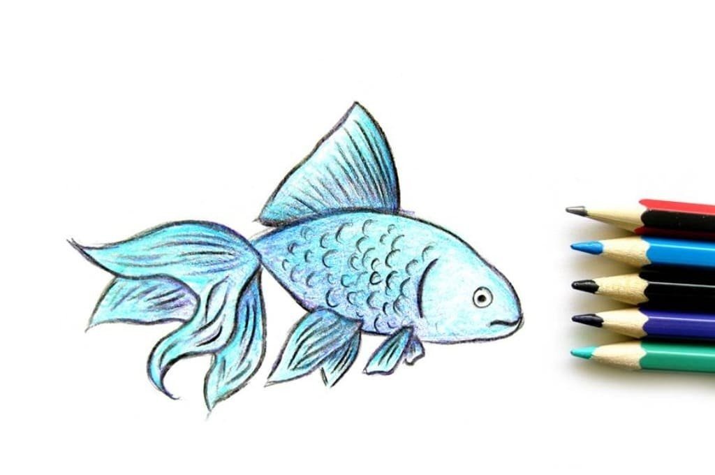 Нарисовать рыбку картинки. Рыбки для срисовки. Рисование рыбы. Рыба для срисовки. Рисунки рыбок для срисовки.