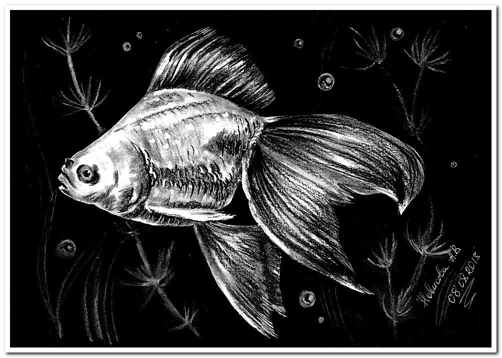 Рисунок в графике 2 класс. Граттаж Золотая рыбка. Рыба гравюра. Рыбки Графика. Черно белые рисунки.