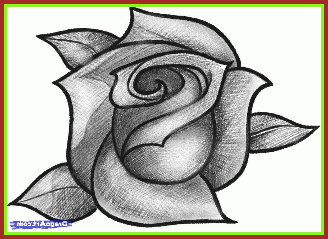 Картинки для срисовки. Красивые рисунки карандашом. Роза рисунок. Эскиз розы карандашом. Красивые и простые рисунки.