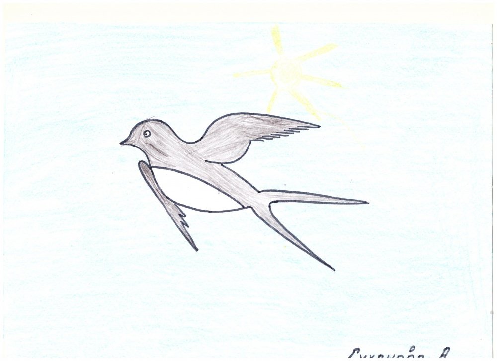 Как нарисовать ласточку для детей. Птица рисунок. Ласточка рисунок карандашом. Рисование для детей перелетные птицы. Ласточка рисунок для детей карандашом.