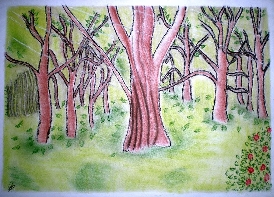 Лес карандашом легко. Рисунок леса. Рисование леса. Рисунки леса легкие. Лес для рисования лёгкие.