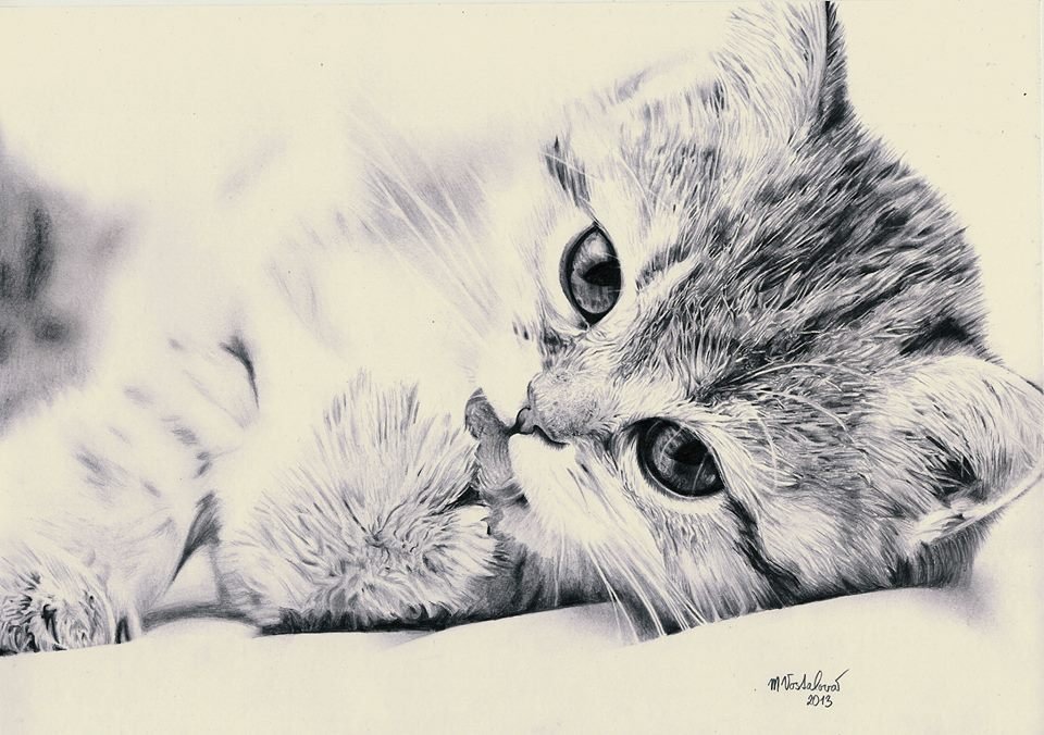 Красивый милый котик рисунок. Милые рисунки карандашом. Милые кошки рисунки. Милый кот рисунок. Котенок рисунок.