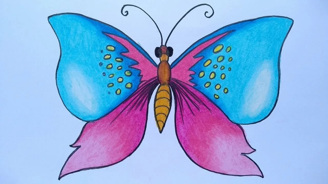 Название рисунков бабочки. Бабочка рисунок. Бабочка картинка для детей. Рисование бабочки. Бабочка рисунок для детей.