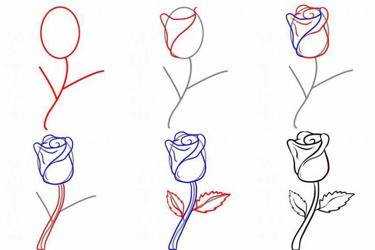 Рисуем пошагово. Поэтапное рисование карандашом. Рисунки по этапно для начинающих. Простые рисунки для начинающих. Поэтапное рисование цветов.