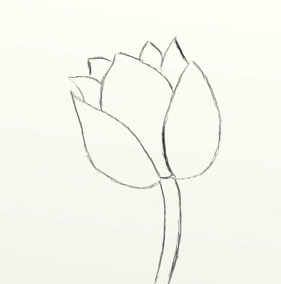Тюльпан поэтапно карандашом для начинающих. Красивые цветы для срисовки легкие. Цветы для срисовки для начинающих. Рисунки цветов для срисовки. Цветы карандашом для срисовки простые.