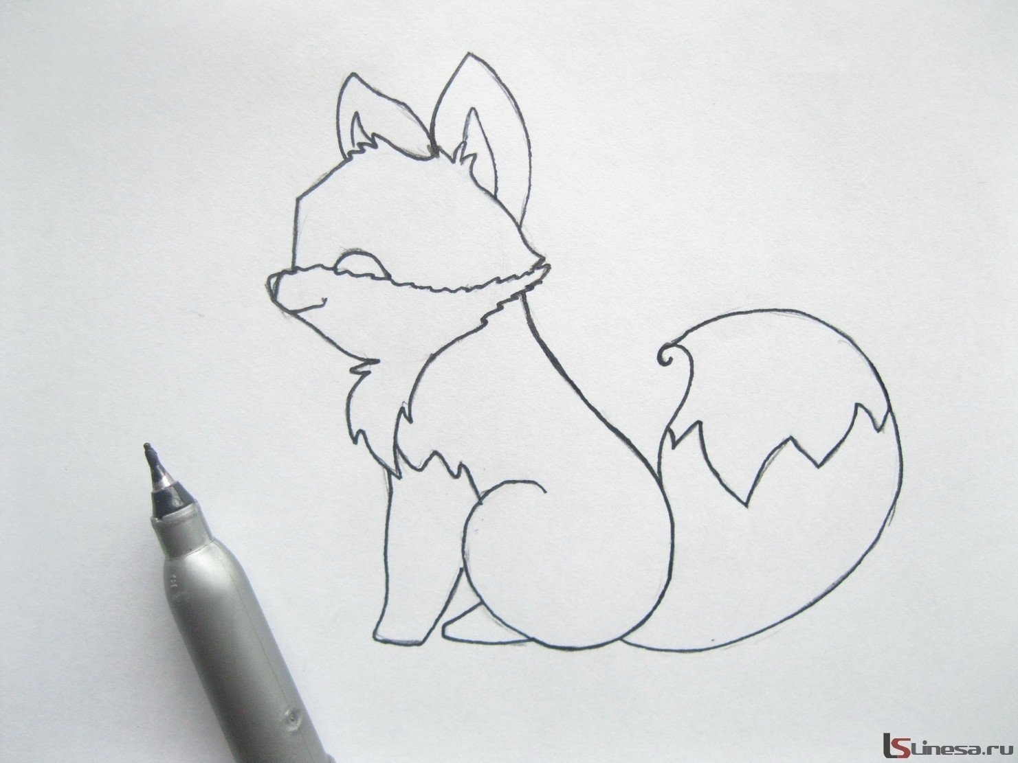 Лиса карандашом легко. Рисунки для срисовки лиса. Лис карандашом для срисовки. Лиса рисунок для срисовки легко. Лиса рисунок карандашом для срисовки.
