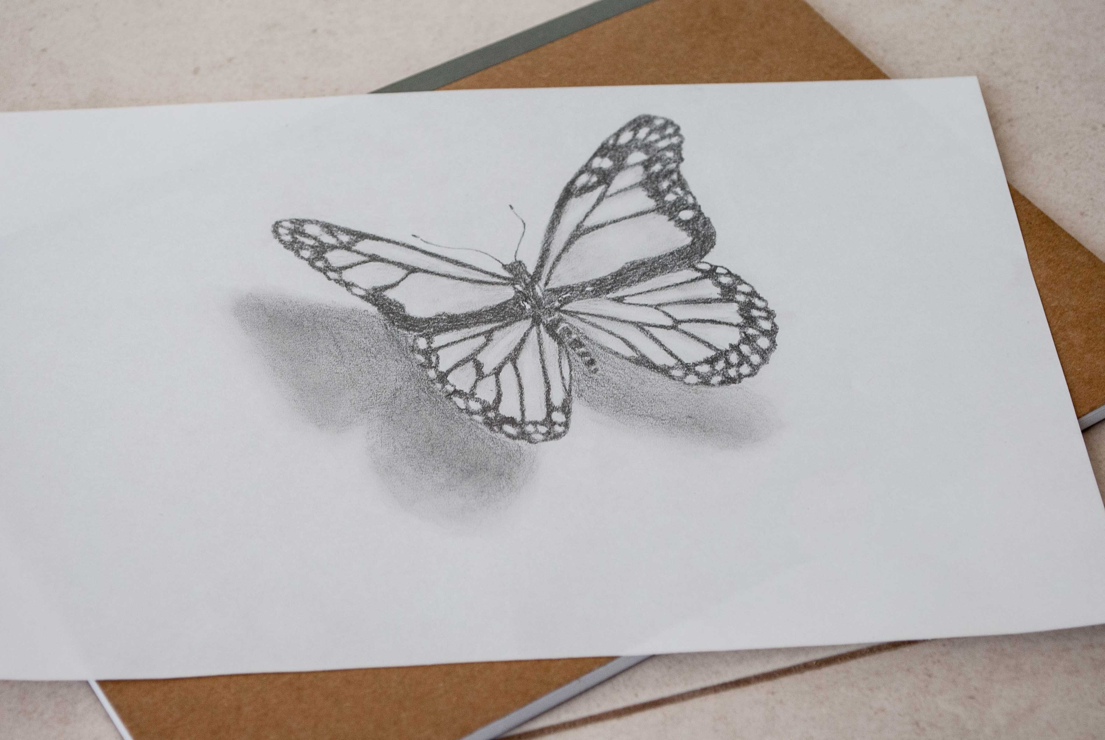 Рисунок на бумаге карандашом. Бабочка рисунок карандашом. Красивые рисунки на бумаге. Рисунок бабочки для срисовки. Объемные рисунки.
