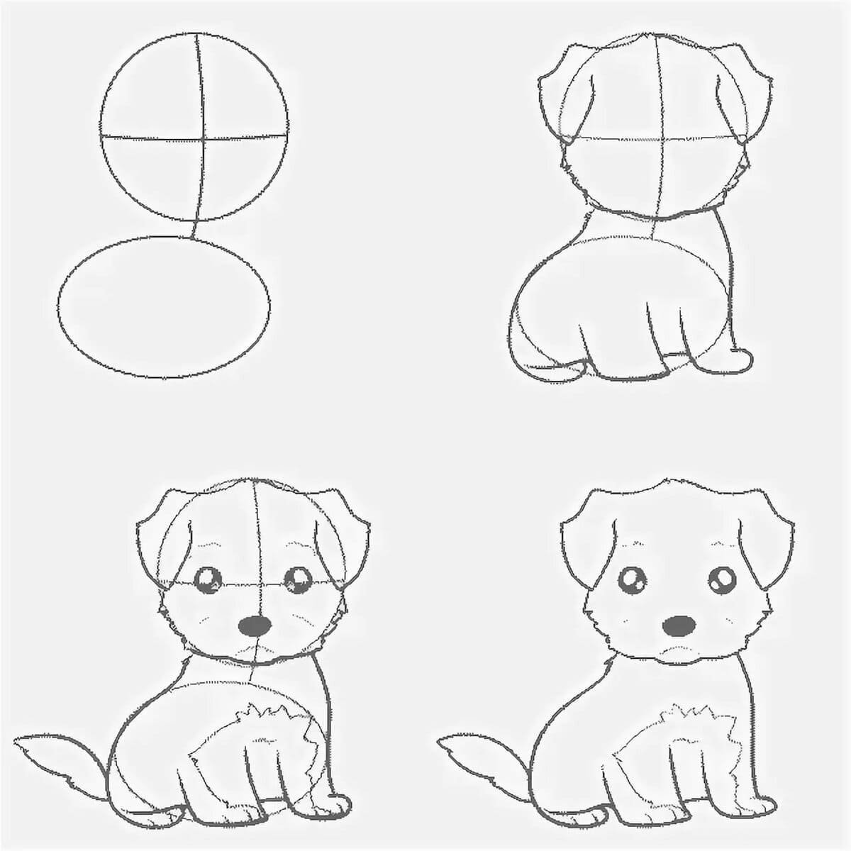 Картинки для начинающих. Щенок рисунок карандашом. Рисунок собаки карандашом для срисовки. Рисунок щенка для срисовки. Рисунок собаки карандашом для срисовки легкие.