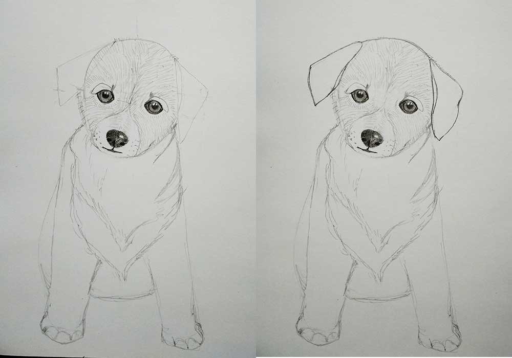 Нарисовать собаку карандашом легко и красиво. Собака рисунок карандашом. CJ,FRF hbceyjrv карандашем. Рисунок собаки карандашом для срисовки. Красивый легкий рисунок собаки.