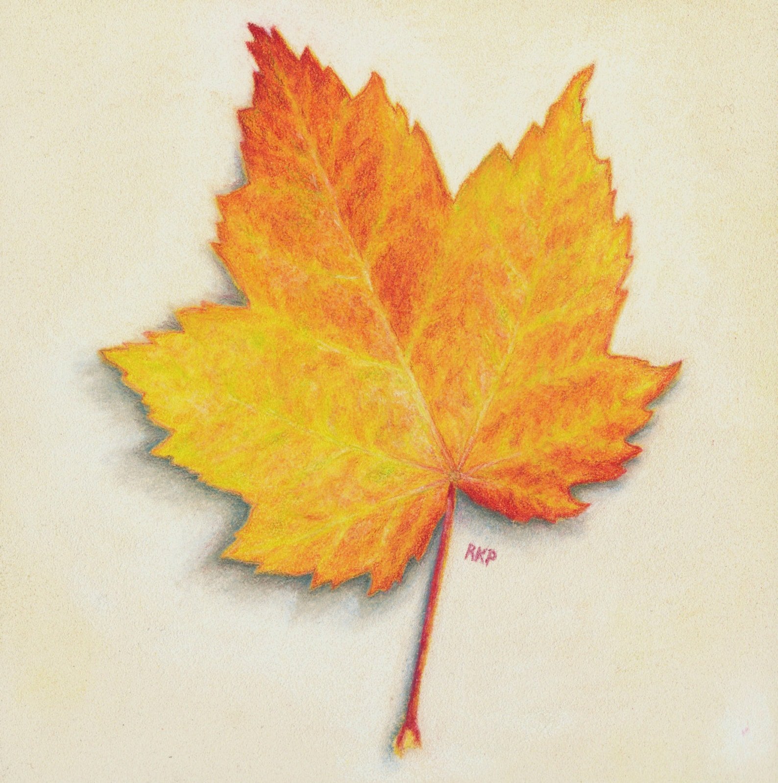 Лист рисунок цветной. Кленовый лист цветными карандашами. Рисование осенних листочков. Листья цветными карандашами. Осенние листья цветными карандашами.