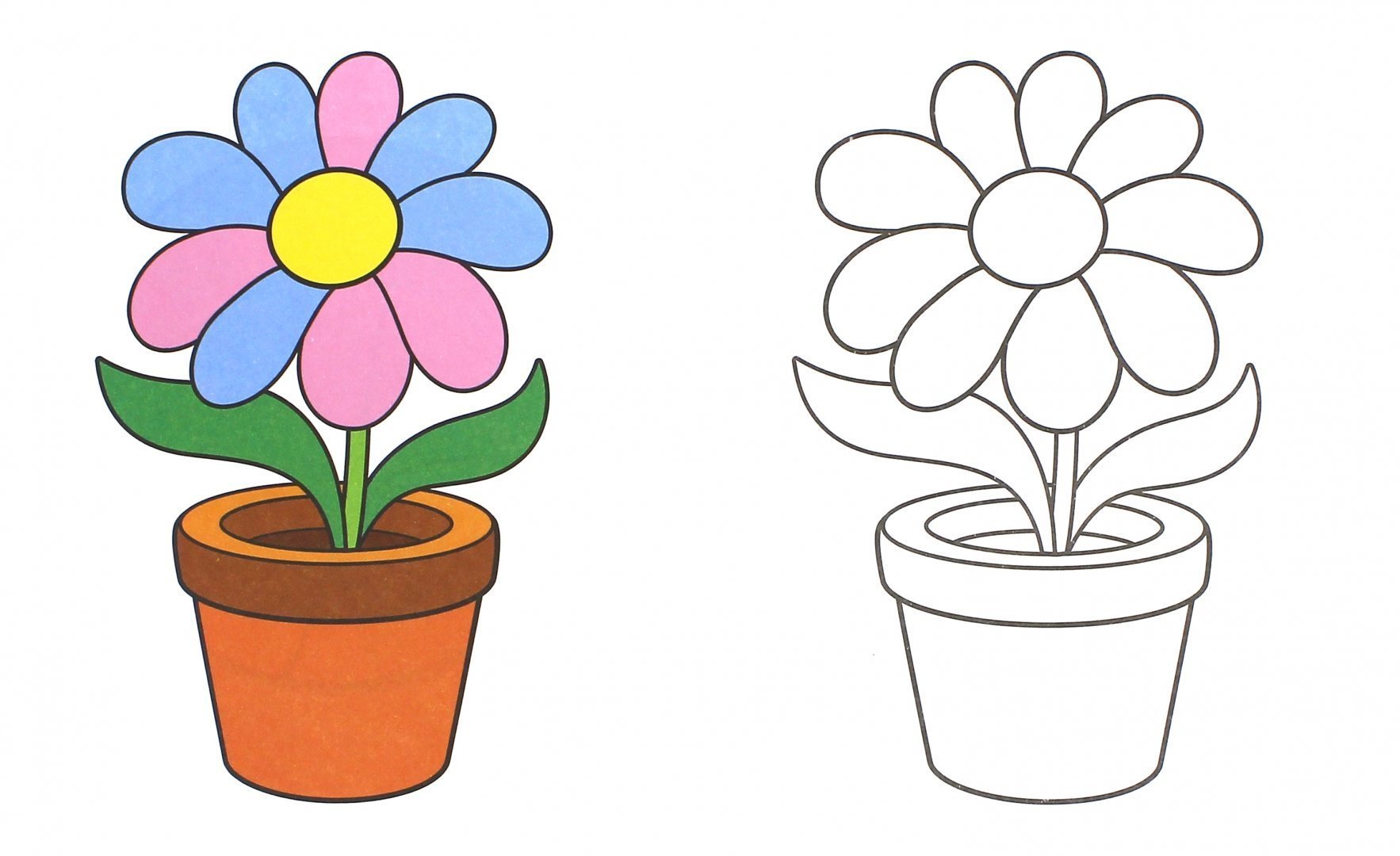 Рисование в младшей группе цветок в горшке. Цветок рисунок для детей. Цветы для рисования. Цветы раскраска для детей. Цветок в горшке рисунок.