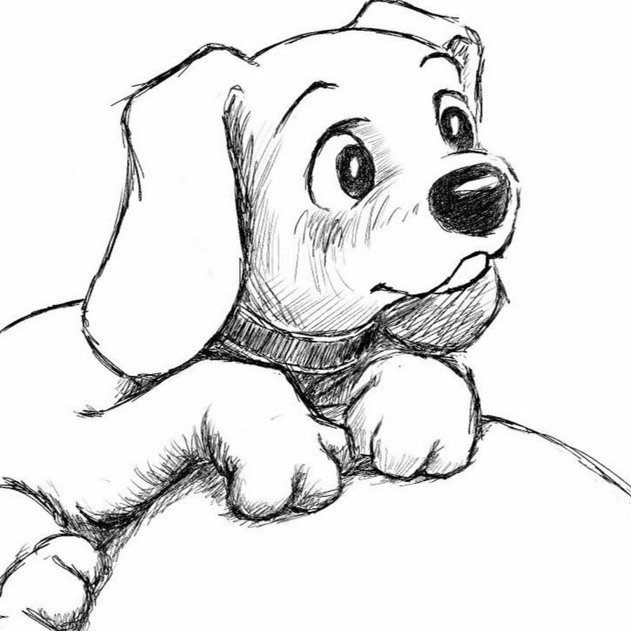 Картинки Собак Для Срисовки