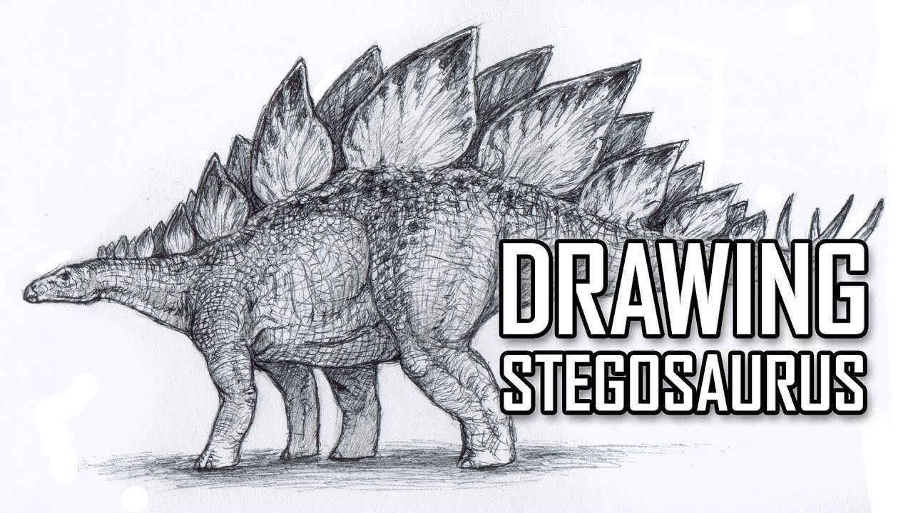 Nowhere to run stegosaurus rex. Стегозавр. Трицератопс карандашом. Стегозавр рисунок. Рисунок динозавра карандашом Трицератопс.