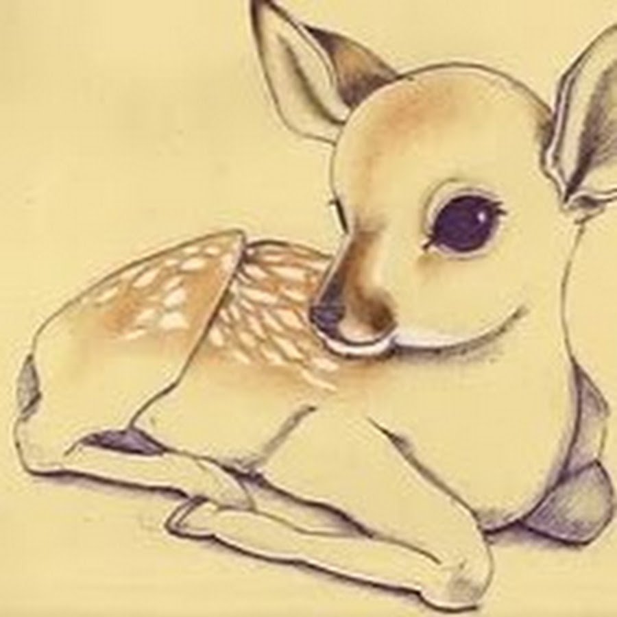 Рисунки для срисовки животные милые и красивые. Рисунки для срисовки животные. Милые рисунки. Милые картинки для срисовки. Рисунки для срисовки милые животные.