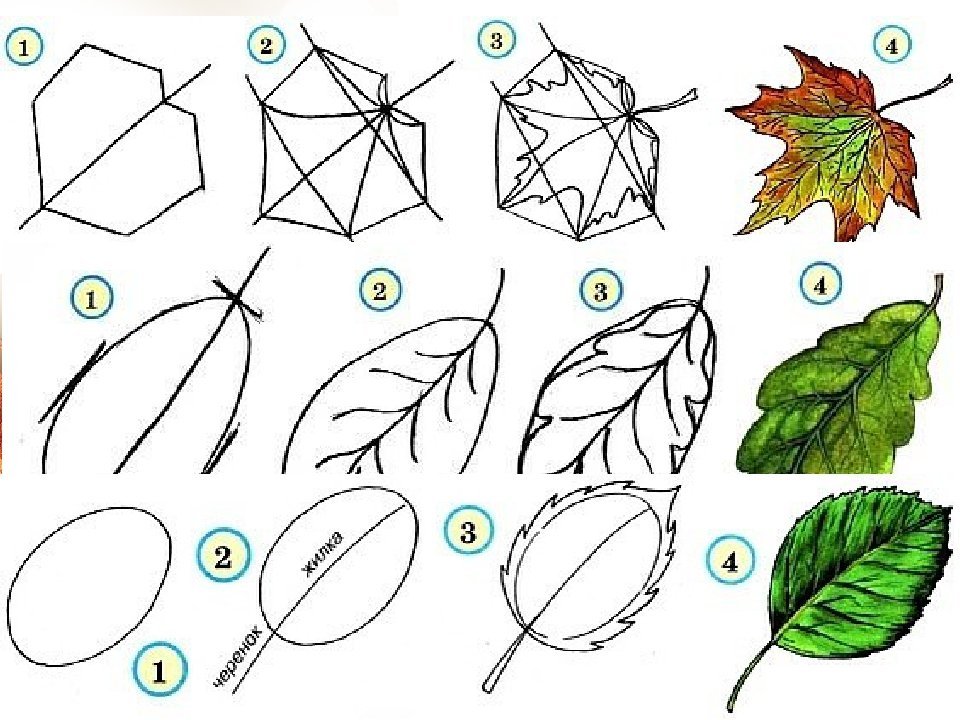Поэтапно объяснение. Рисование осенних листьев. Этапы рисования листьев. Рисование осени листьев. Рисование листьями деревьев.