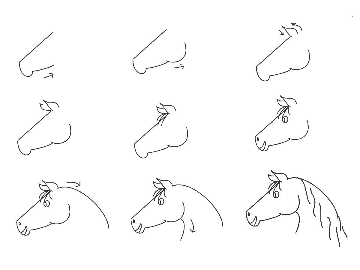 Рисуем лошадь поэтапно. Пошаговое рисование лошади. Лошадь рисунок пошагово. Поэтапный рисунок лошади. Лошадь рисунок карандашом.
