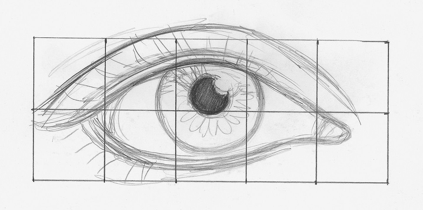 Как нарисовать глаз поэтапно карандашом для начинающих. Анатомия глаз для рисования. Анатомия человеческого глаза для рисования. Поэтапное рисование глаз. Схема рисования глаза человека.
